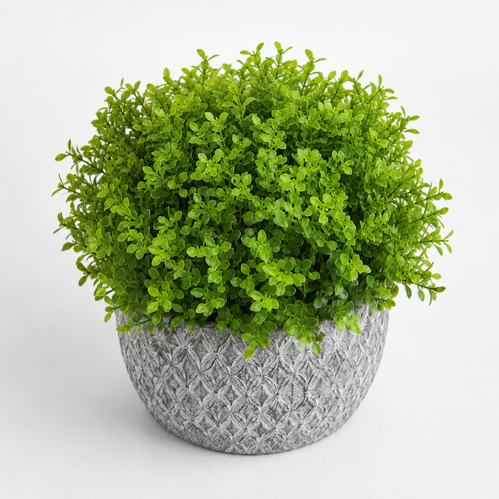 Elegant Vase Decoration