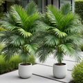 Large Outdoor Artificial Pineapple - 2PC